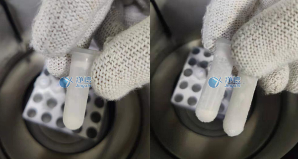 1640161813188797.jpg 2-1.jpg