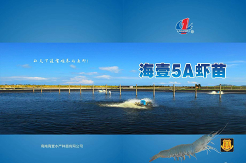 1641964385784859.jpg 16.jpg