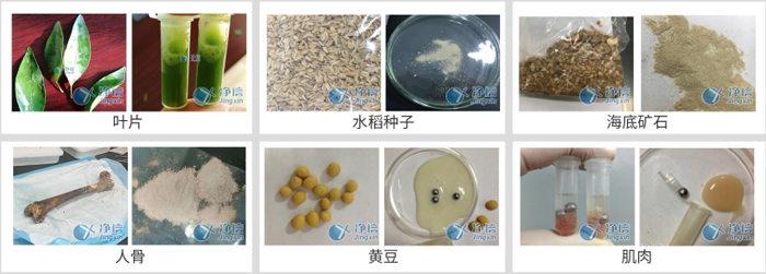 761650461028 761650461028