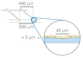 (ibidi)μ-Dish 35 mm帶計(jì)數(shù)格培養(yǎng)皿-80156 80151 81166 81161 81148 81168