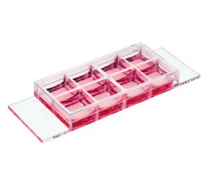 (ibidi)μ-Slide 8孔腔室載玻片-80821 80822 80824 80826 80828 80827