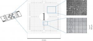 (ibidi)μ-Slide光電關(guān)聯(lián)顯微鏡載玻片-80361